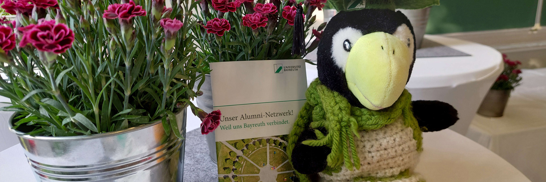 20250603 Abraxas Blumen Booklet News 1110X440